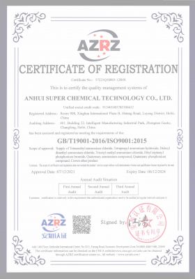 ISO 9001 英文