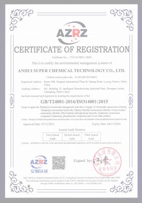 ISO14001 英文